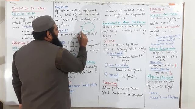 Digestion in oral cavity I Chapter 12 I Nutrition I class 11 I First year I Lec# 12 смотреть онлайн