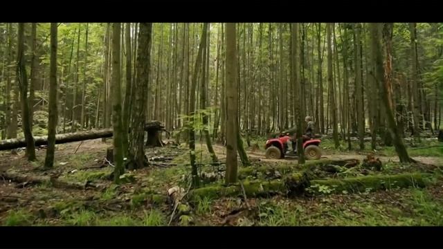Корпоратив Русская охота тимбилдинг на природе смотреть онлайн