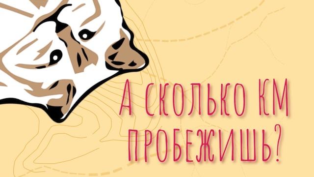 #Бегом за котом - благотворительный онлайн забег!