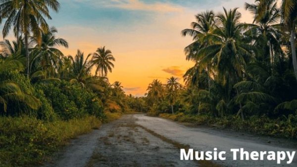 Jarico - Landscape  || Online Music Therapy