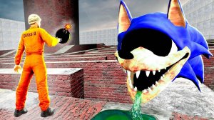 [Dimas.tv] СОНИК ПОЖИРАТЕЛЬ В ЛАБИРИНТЕ С ПОРТАЛАМИ ЗАЩИЩАЕТ ОРУЖИЕ ОТ НАС SONIC GMOD Garry's Mod