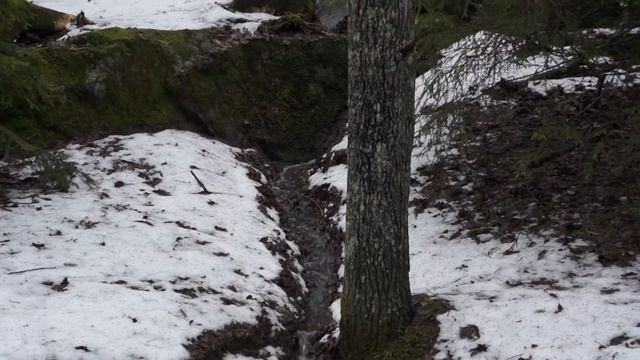 +4 winter 6 смотреть онлайн
