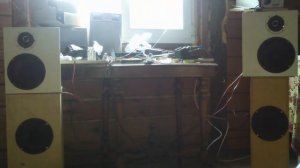 Трёх полосная система (макет) с большим СЧ динамиком в щите