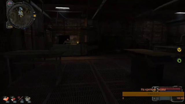 S.T.A.L.K.E.R НОЧНОЙ СТРИМ смотреть онлайн