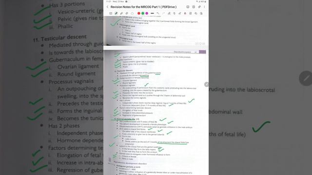 #mrcog revision notes 1 chapter 2 embryology part 2 #rcog #yt #yt #mcps #viral смотреть онлайн