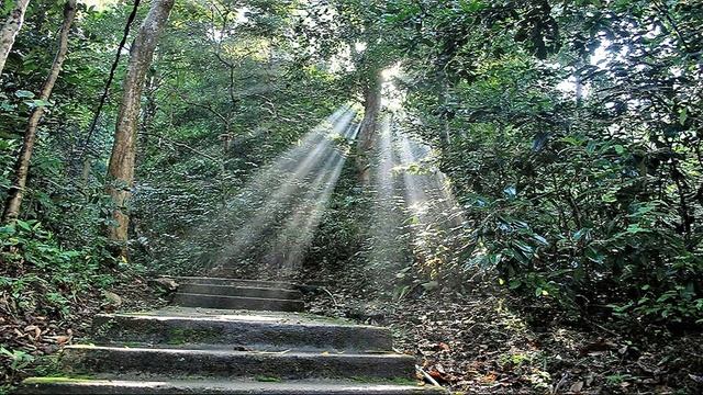 Dubai Dhamma Programme|36|Ven. U Dhammajiva Maha Thero & Ven A Dhammaguththa Thero|2022-02-18 смотреть онлайн