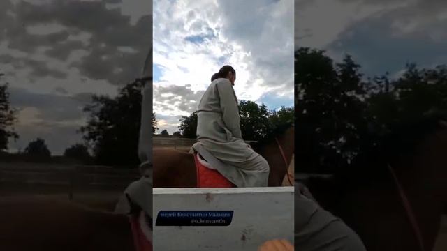 Ипподром. смотреть онлайн