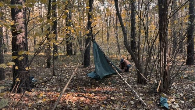 Одиночный кемпинг, тент , лес , еда 🔥