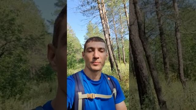 Дмитрий Аксенов | Отзыв об онлайн-курсе "Шаг к пробуждению". Июль 2022 смотреть онлайн