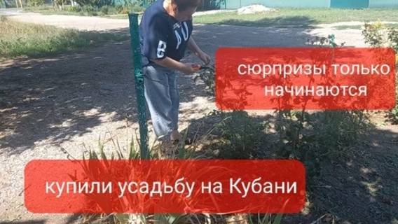 Купили усадьбу на Кубани.Сюрпризы только начинаются.Здесь кто то живёт.Что с работой.