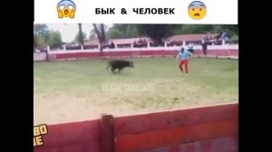 ВВВВВВВВВВВВВВВВВВВВВ