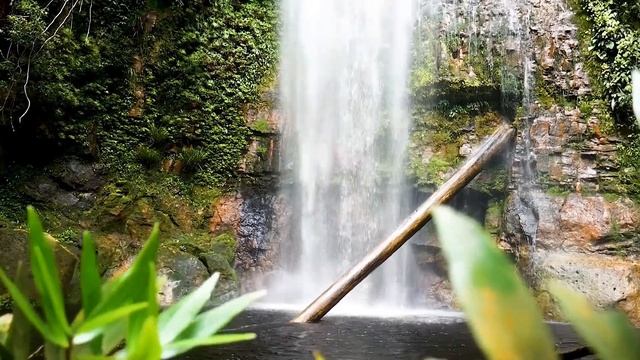 Magic music therapy - 30 minutes of music for stress relief and calm sleep смотреть онлайн