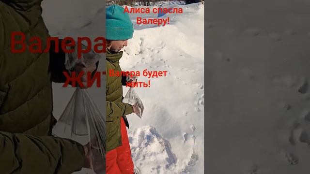 Чудесное спасение валеры. смотреть онлайн