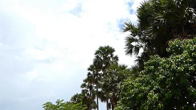 Prey Veng смотреть онлайн