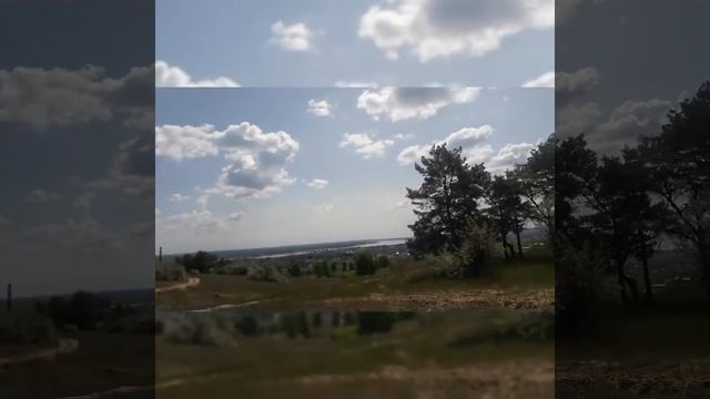 Результат самых эффективных и дорогих тренингов мира #коучинг #тренинг смотреть онлайн