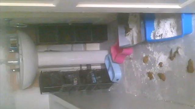 2015 08 20c No Barnet Police will help YOU = GESTAPO INQUISITION смотреть онлайн