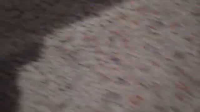 NEW SIDE WINDER SLAMFIRE BLASTER BY BUZZ BEE TESTED w/ NERF ELITE DARTS смотреть онлайн