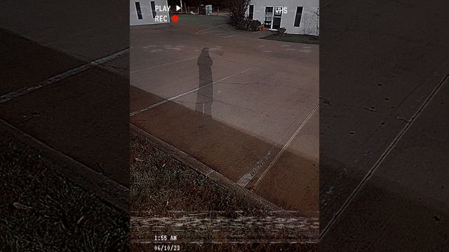 deep cover by sun araw (with jackets cassette tape) смотреть онлайн