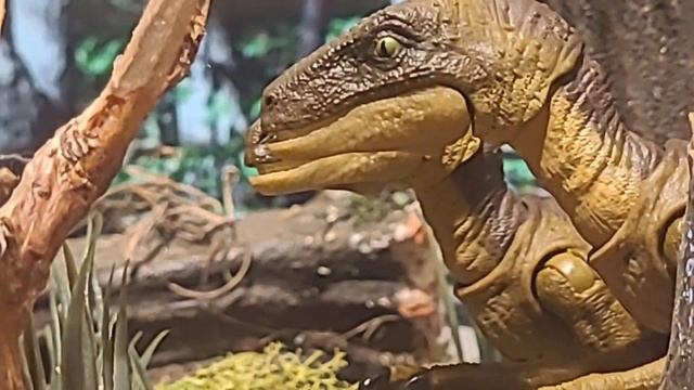 "The Wrong Prey" Dinosaur Short Stop Motion смотреть онлайн