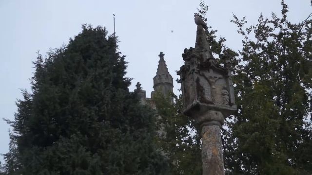 Lambourn's pigeon смотреть онлайн