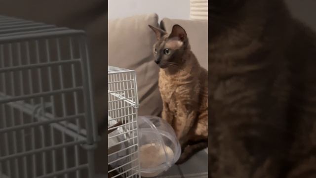 Lv_0_20241028144005.mp4
