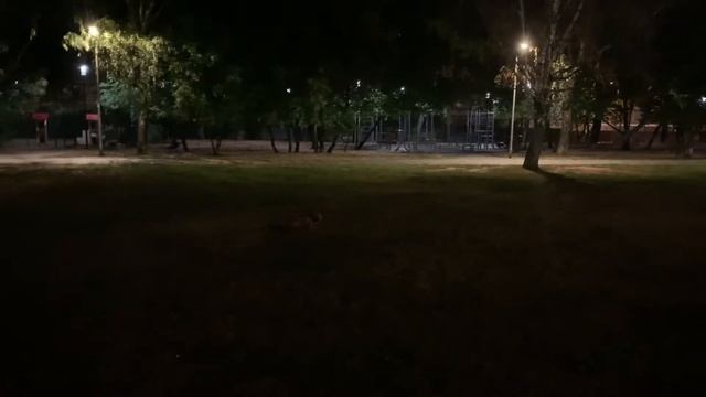 {влог} учебные будни в киновузе, секонды и « клуб клуб » смотреть онлайн