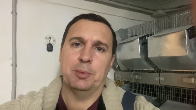 КОМБИКОРМ ДЛЯ ШИНШИЛЛ | ШИНШИЛЛОВАЯ ФЕРМА || РАЗВЕДЕНИЕ ШИНШИЛЛ смотреть онлайн