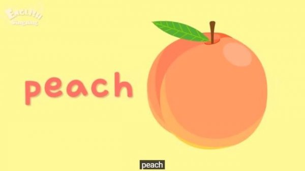 FRUITS AND VEGETABLES