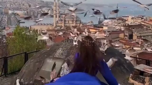 George Kopaliani • Catharsis • Video Edit @katawpr смотреть онлайн