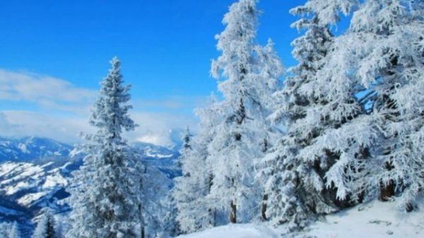 ВОЛШЕБСТВО И ОЧАРОВАНИЕ ЗИМНЕЙ ПРИРОДЫ(THE MAGIC AND CHARM OF WINTER NATURE)!!!