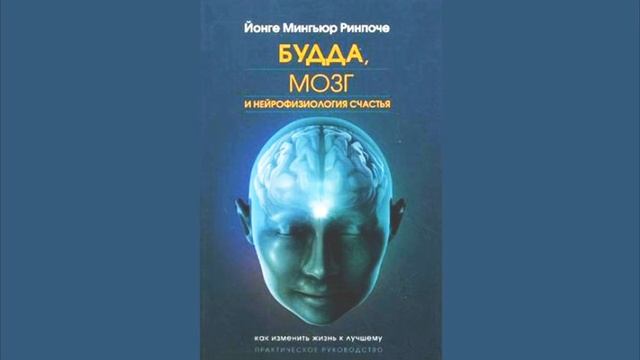 Отрывок из книги "Будда, мозг и нейрофизиология счастья" смотреть онлайн