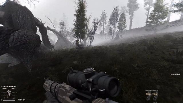 Stalker Anomaly Gamma Zombie ep 53 It's a Buer's paradise смотреть онлайн