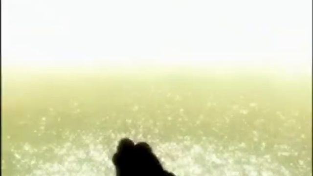 catharsis. смотреть онлайн