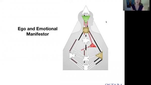 Human Design | Manifestor Super Powers -- Sovereignty by Design