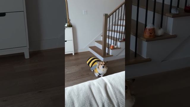 попадание в образ смотреть онлайн