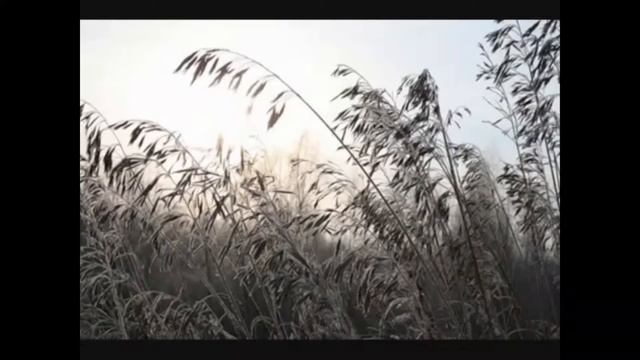 Строим жизнь вместе с Kipi.