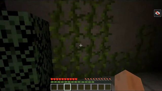 Kashima Reiko in Minecraft смотреть онлайн