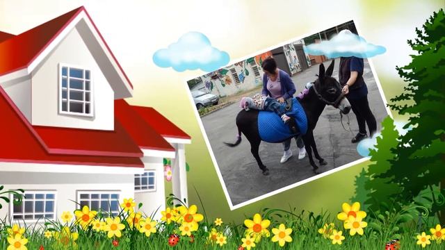 иппотерапия начало