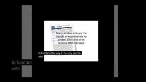 Доктор Хилл ДДР Прайм