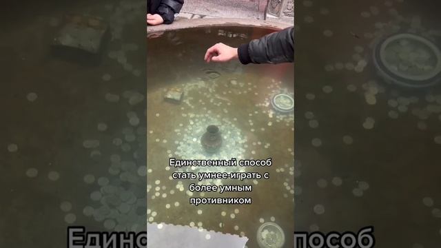 5 смотреть онлайн