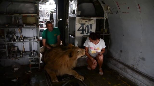 УМОРА ! Как Олег Алексеевич уговаривал Олежку подняться смотреть онлайн