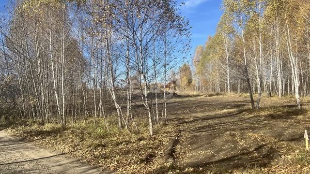11536721 смотреть онлайн