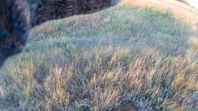 коп в июле 2024