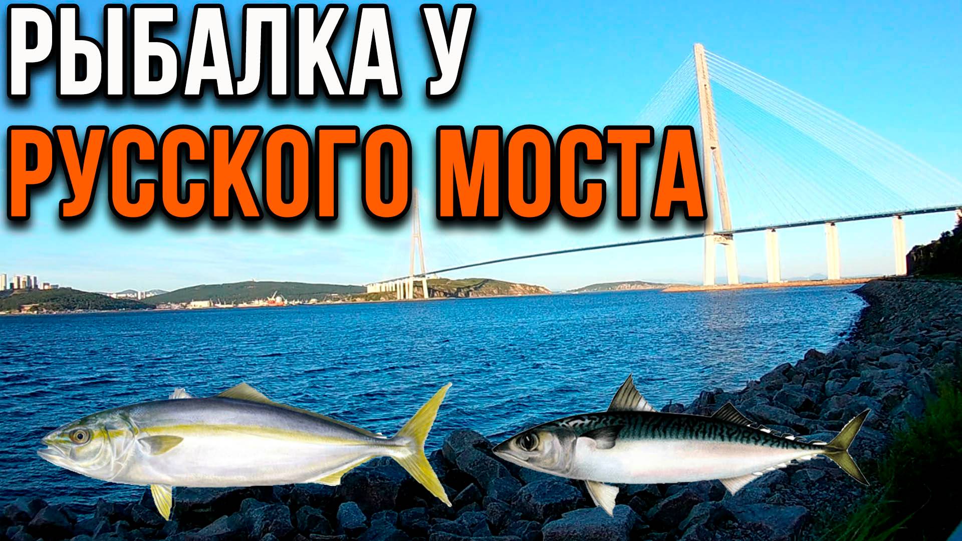 Рыбалка у Русского моста, Владивосток. смотреть онлайн