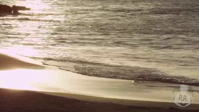 Top 10 SINGLES Resorts