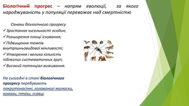 9 клас. Біологія. Макроеволюція.Напрямки та шляхи смотреть онлайн