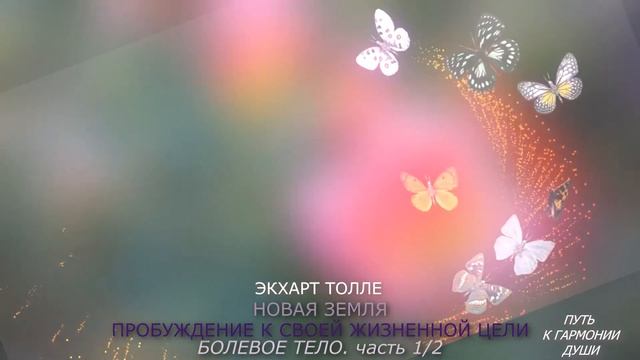 Болевое тело.гл 5.часть1книги НОВАЯ ЗЕМЛЯ/Экхарт Толле.(Аудио озвучено В.Лисица) смотреть онлайн