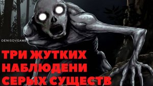 ТРИ ЖУТКИХ НАБЛЮДЕНИЯ СЕРЫХ СУЩЕСТВ ( РЕЙК )