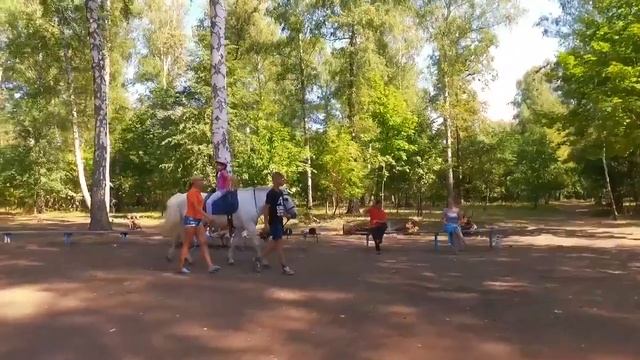 Центр иппотерапии смотреть онлайн