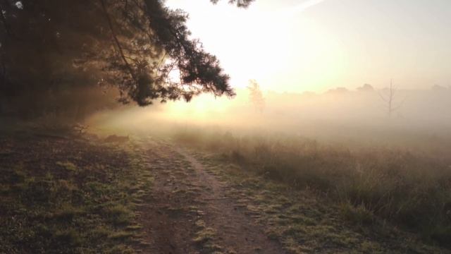 Uriah Heep - July Morning